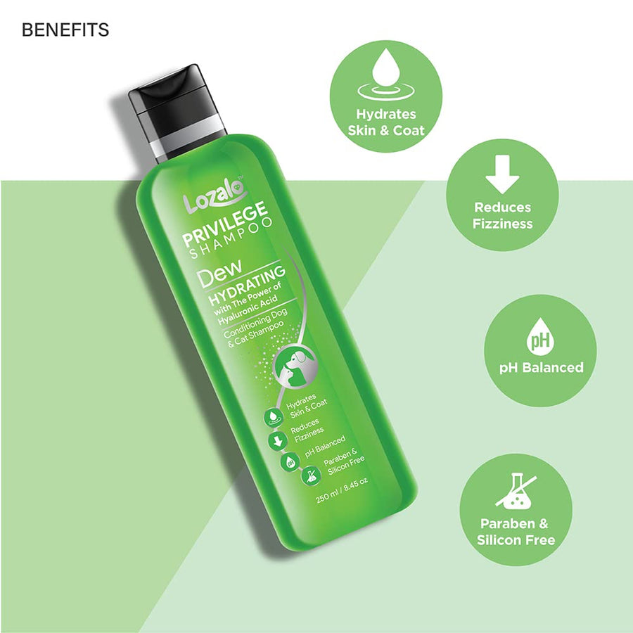 Lozalo Privilege Conditioning Shampoo Dew