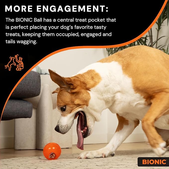 Bionic Ball Interactive Dog Chew Toy