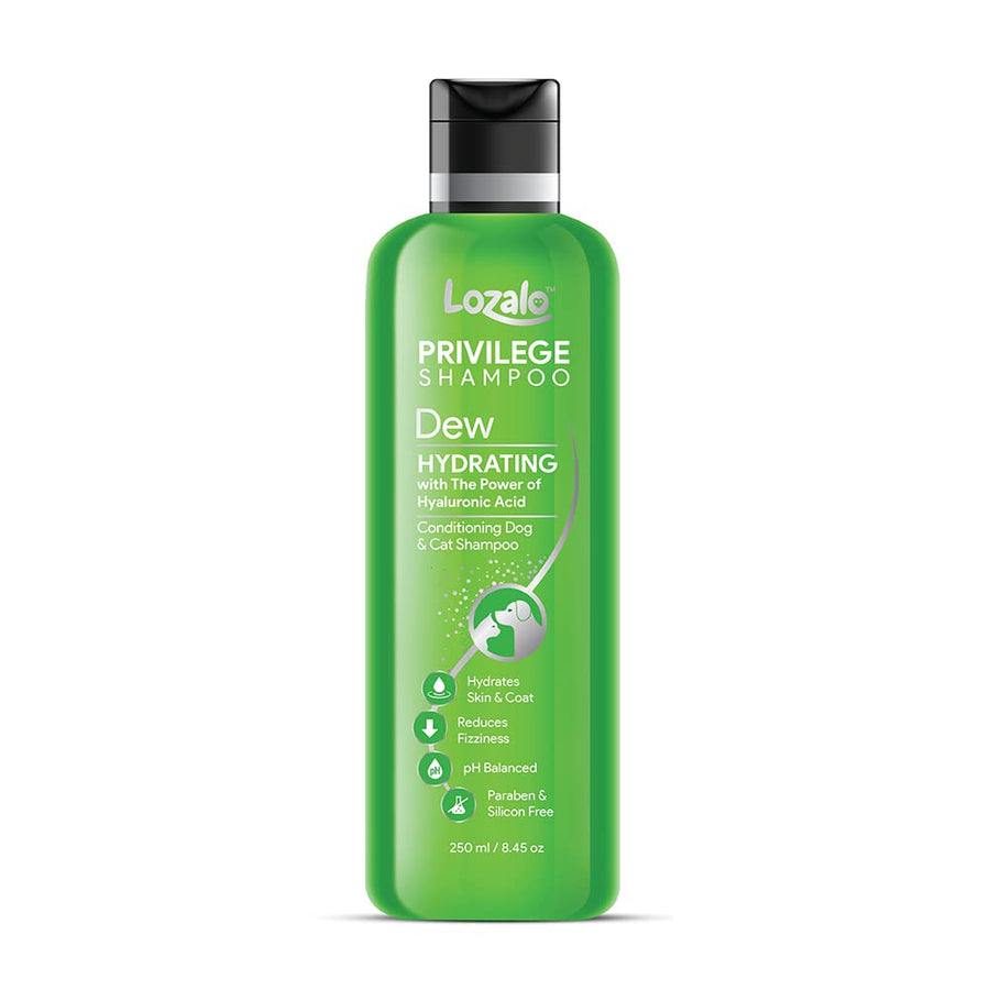 Lozalo Privilege Conditioning Shampoo Dew