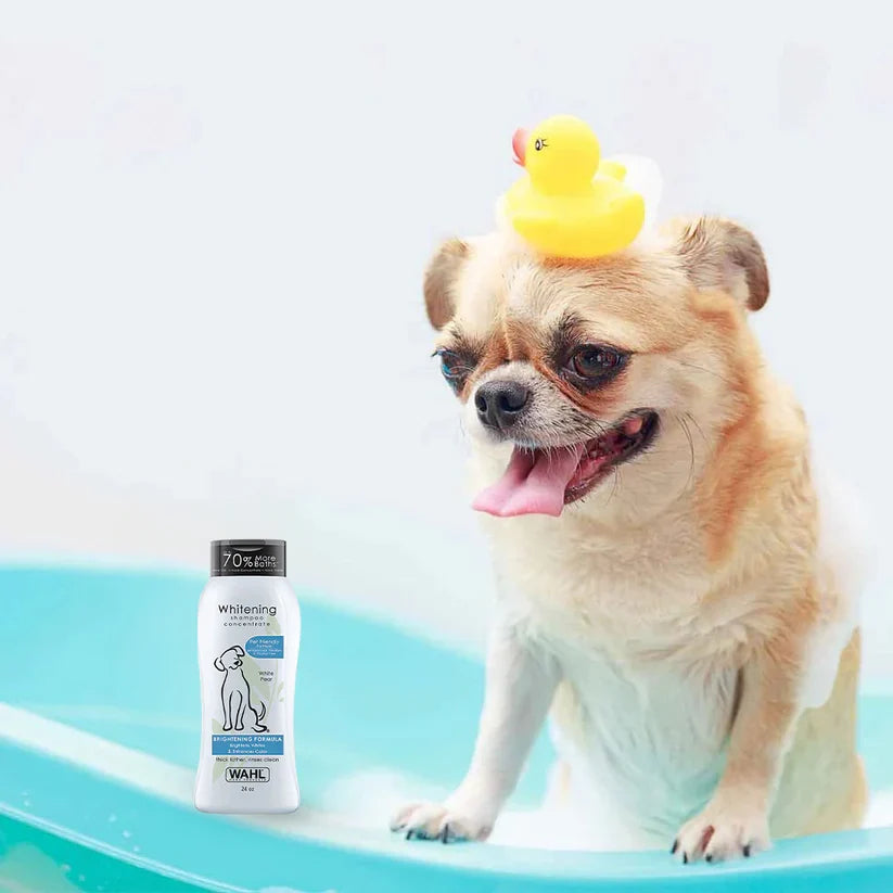 Wahl Whitening Concentrate Formula Dog Shampoo