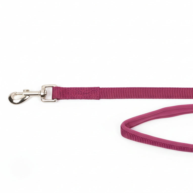 Trixie Premium Extra Strong Leash with Padded Hand Loop for Dogs