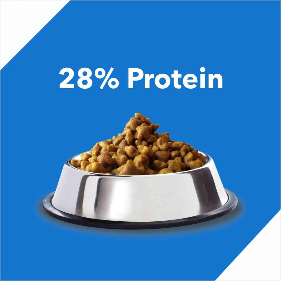 Drools Tuna and Salmon Flavor Adult Cat Dry Food
