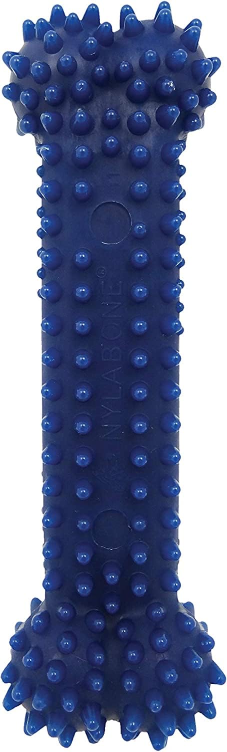 Nylabone Dental Chew Bone