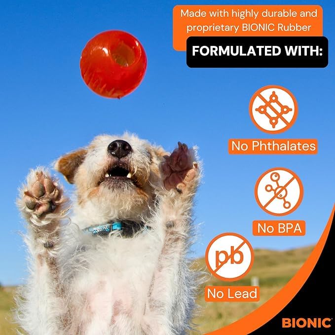 Bionic Ball Interactive Dog Chew Toy