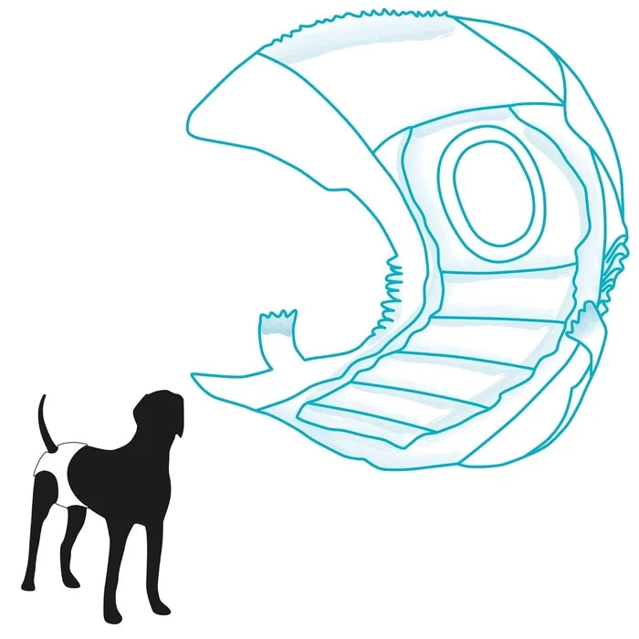 Trixie Diapers for Female Dogs