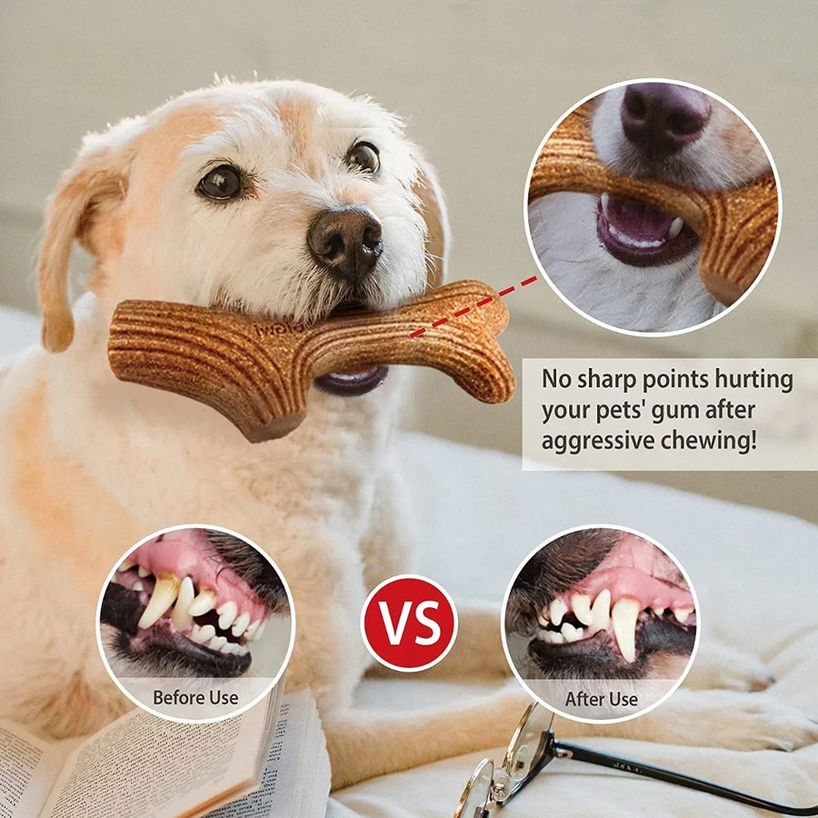 Gigwi Dog Chew Wooden Toy for Dogs