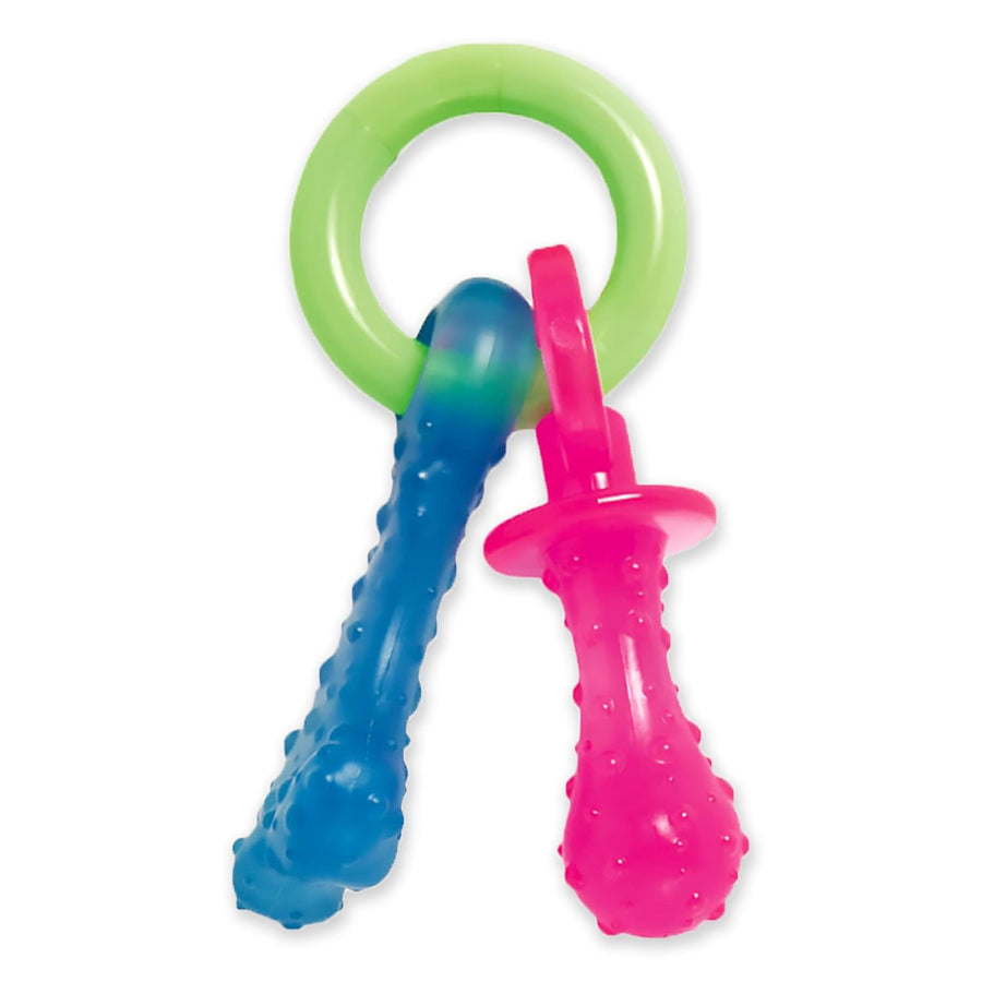 Nylabone Puppy Chew Teething Pacifier