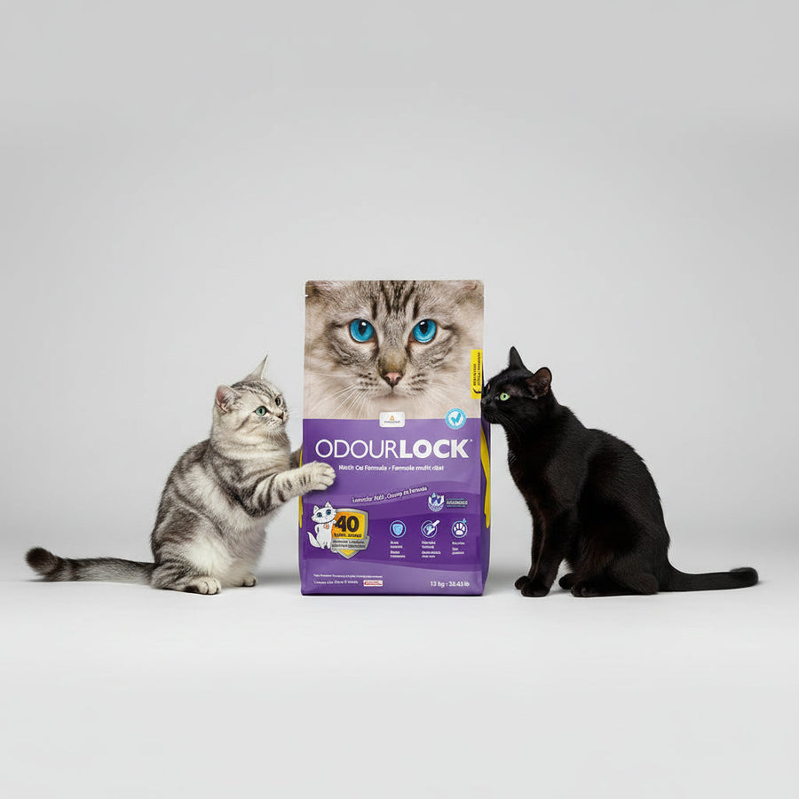 OdourLock Lavender Cat Litter