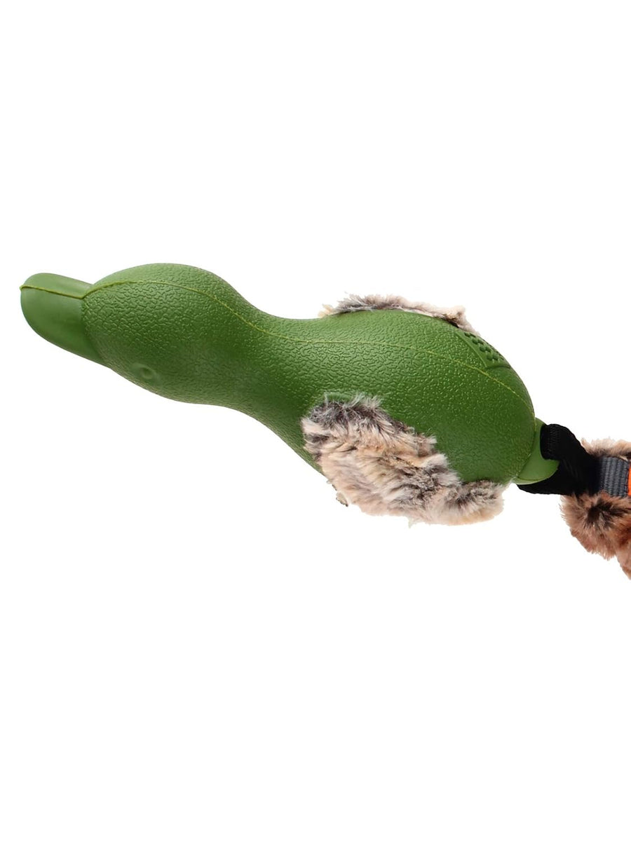 Gigwi Forestails Push To Mute Duck