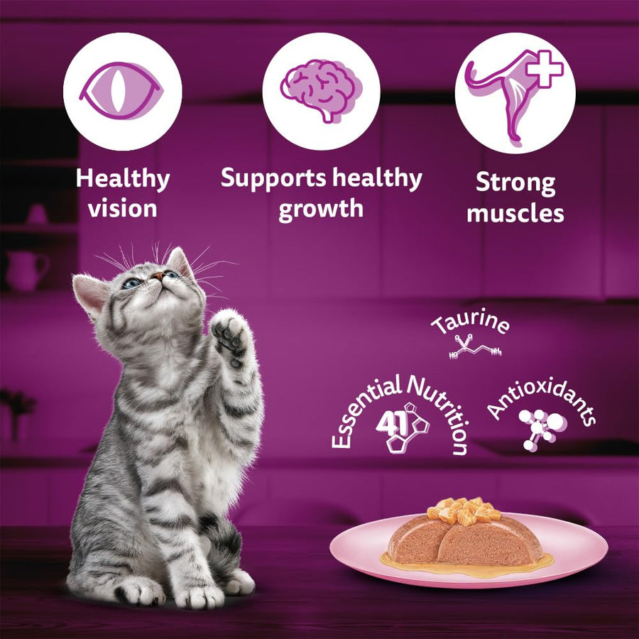 Whiskas Junior Salmon in Jelly Flavour Wet Food