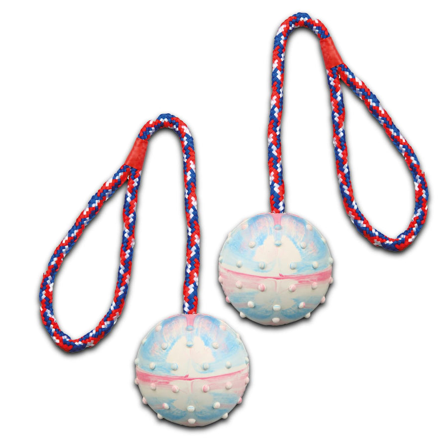 Trixie Ball On A Rope Natural Rubber Toy for Dogs