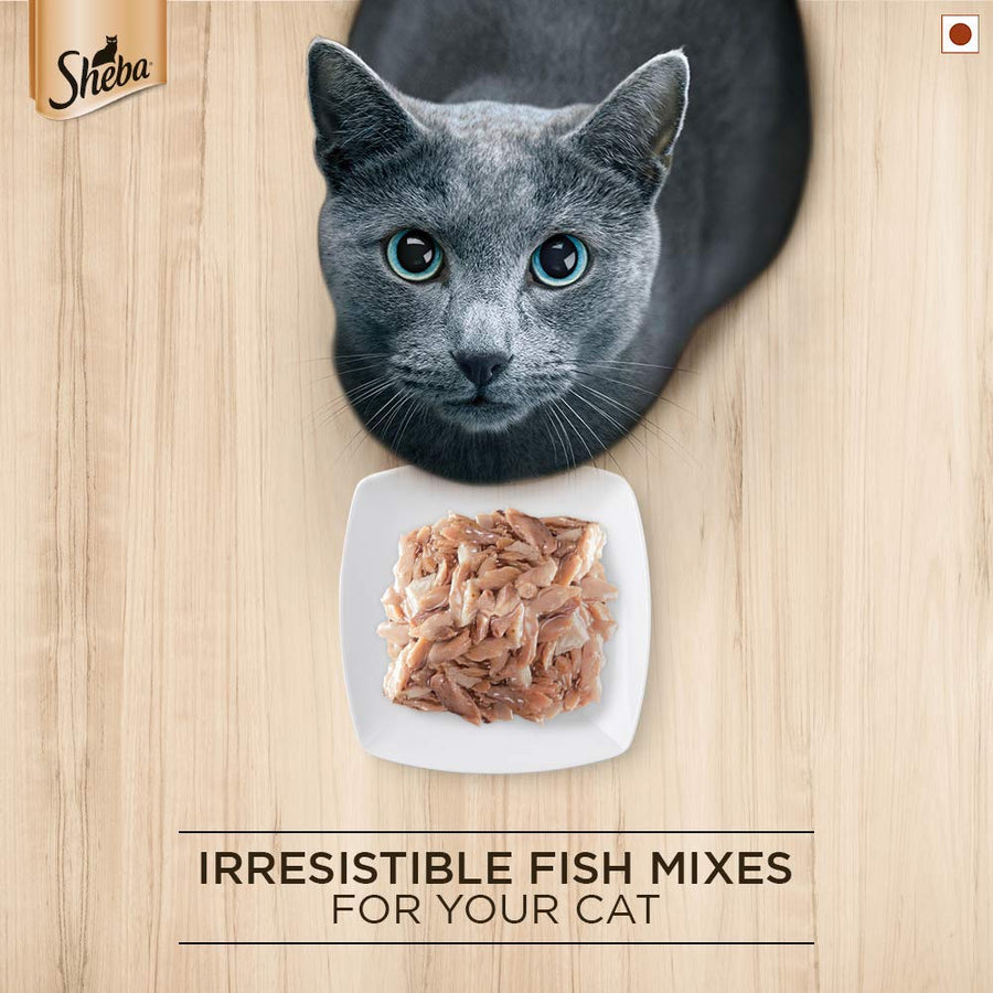 Sheba Maguro and Bream Cat Wet Food