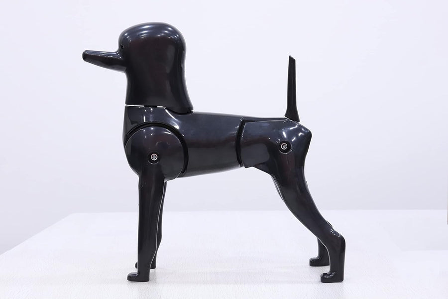Aeolus 3 In 1 Mannequin Model Dog