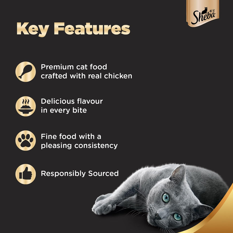 Sheba Chicken Kitten Cat Wet Food