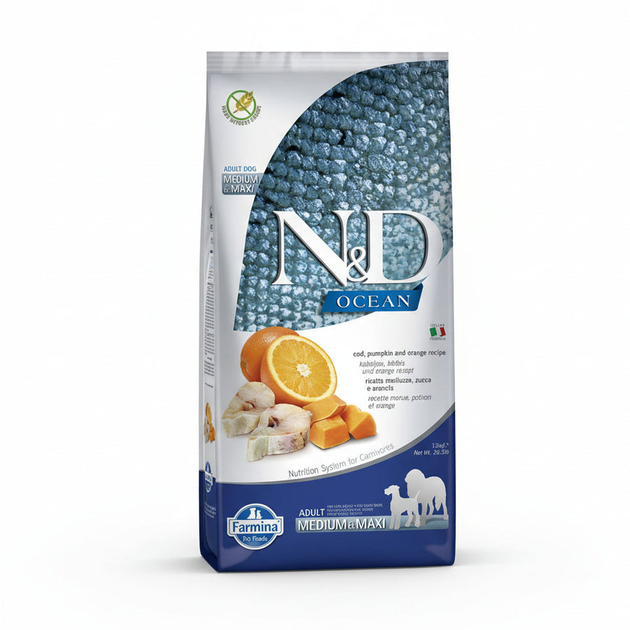N&D Ocean Pumpkin Codfish and Orange Medium & Maxi Adult Dog Dry Food