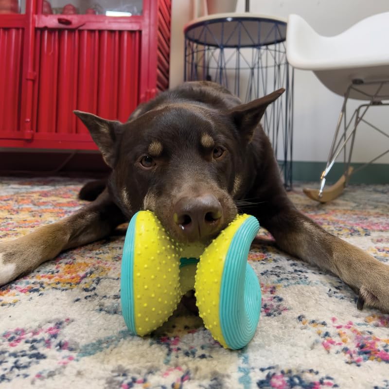 Kong Rerun Whoosh Ball for Dogs