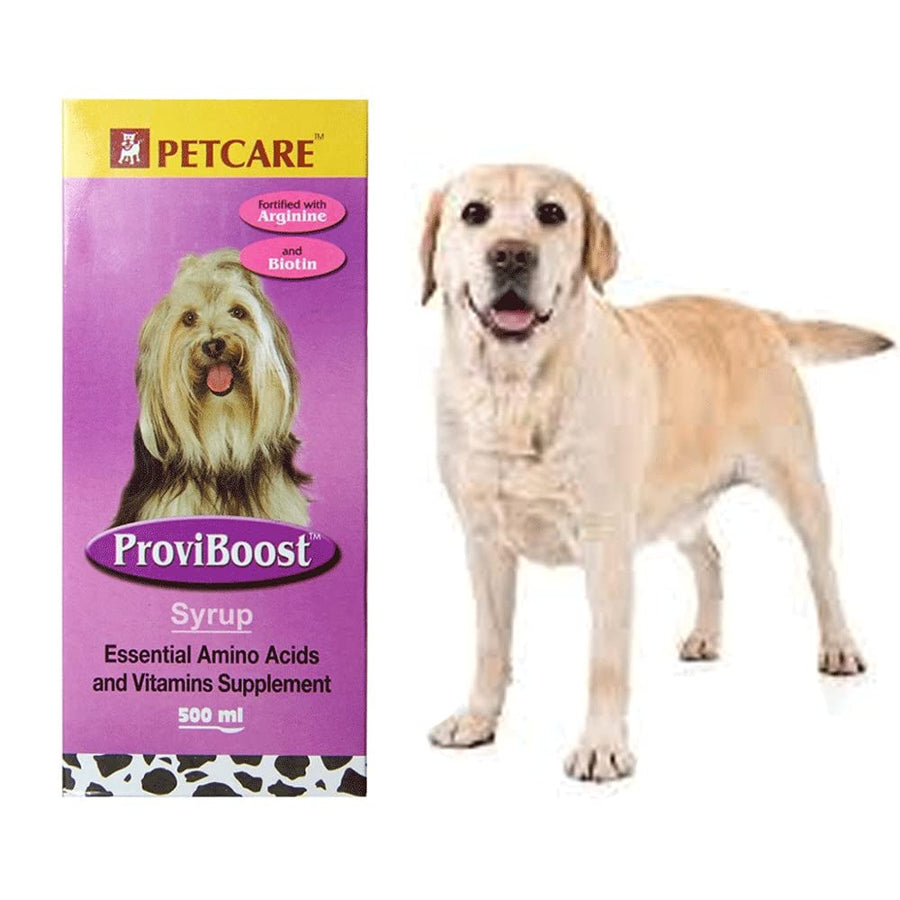 Petcare Proviboost Syrup for Dogs and Cats
