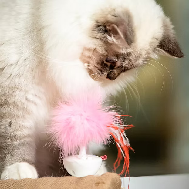 Gigwi Wobble Feather Pet Droid for Cats
