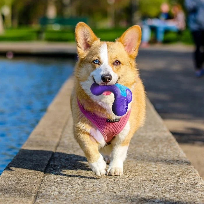 GiGwi Multi Sounds Bone Toy for Dogs