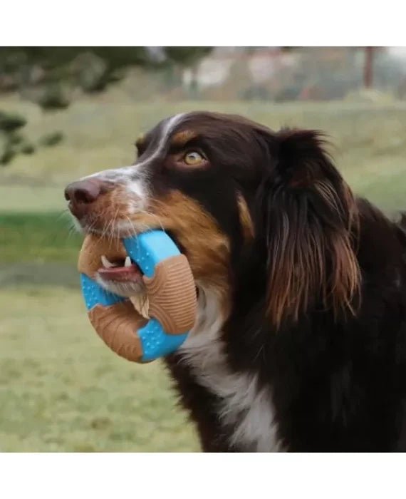 Kong Core Strength Bamboo Ring Dog Chew Toy