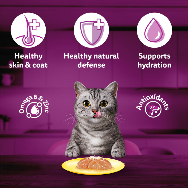 Whiskas Chicken with Salmon in Jelly Flavour