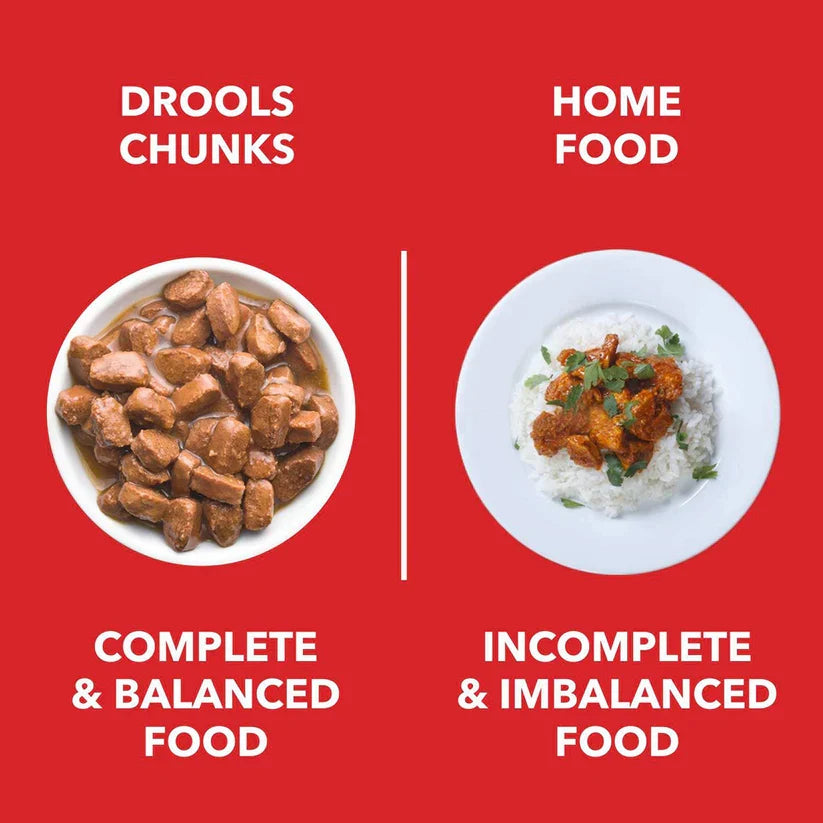 Drools Chicken & Chicken Liver Chunks in Gravy Puppy Wet Food