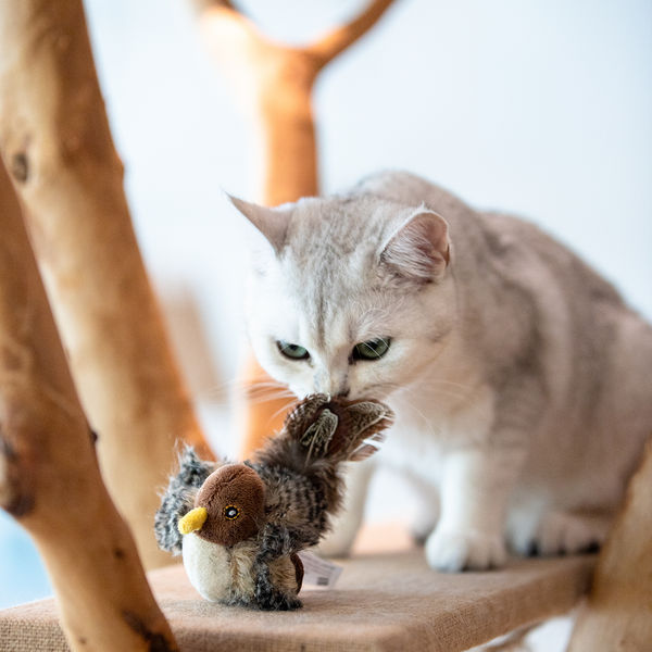 GiGwi Melody Chaser Bird Toy for Cats