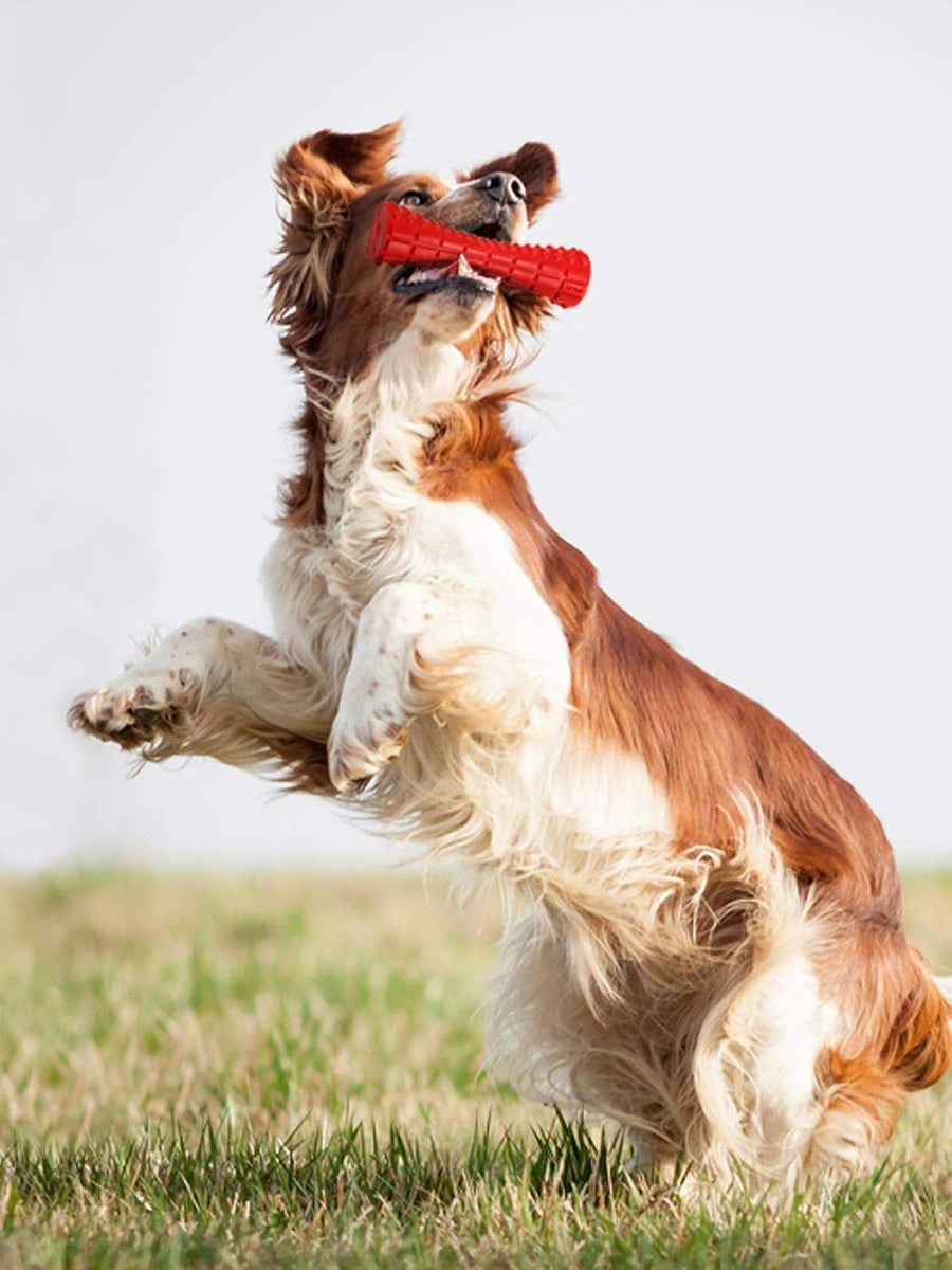 GiGwi Johnny Stick Extra Durable Dog Chew Toy with Squeaker