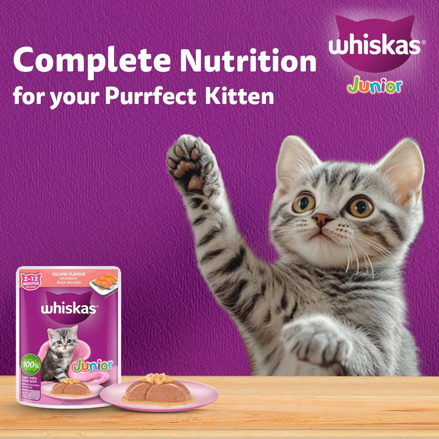 Whiskas Junior Salmon in Jelly Flavour Wet Food