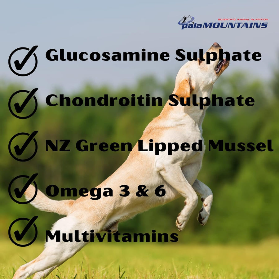 My Beau Bone and Joint Dogs and Cats Supplement