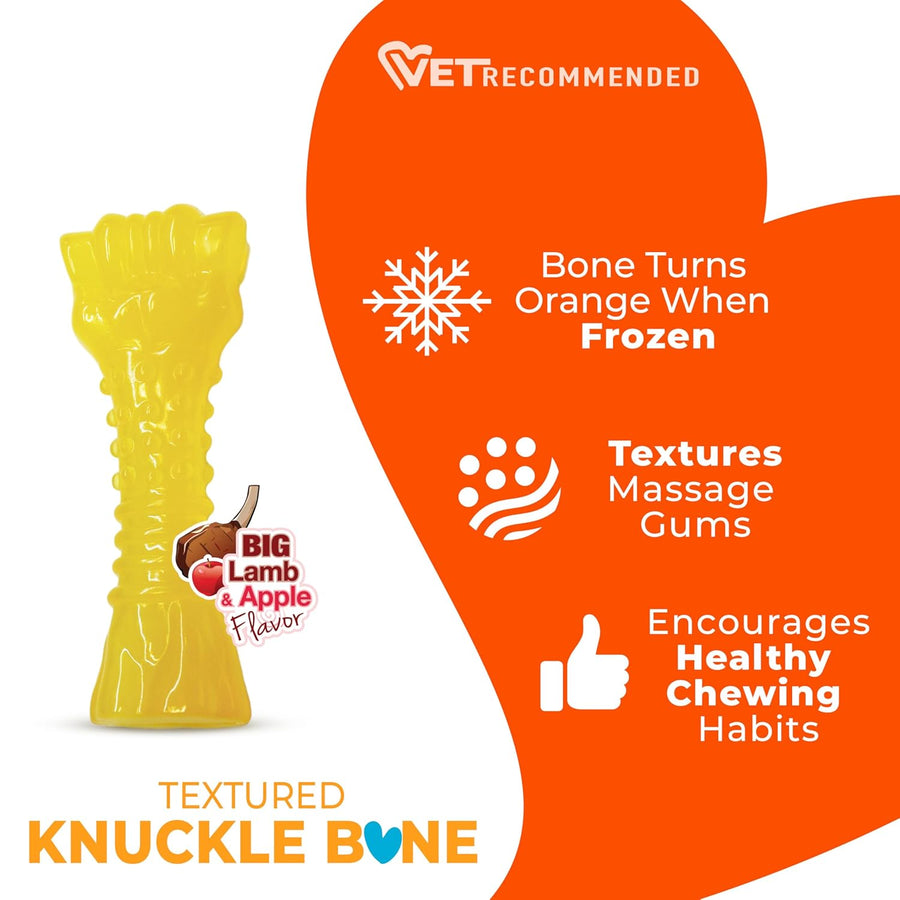 Nylabone Puppy Chew Freezer Bone for Dogs