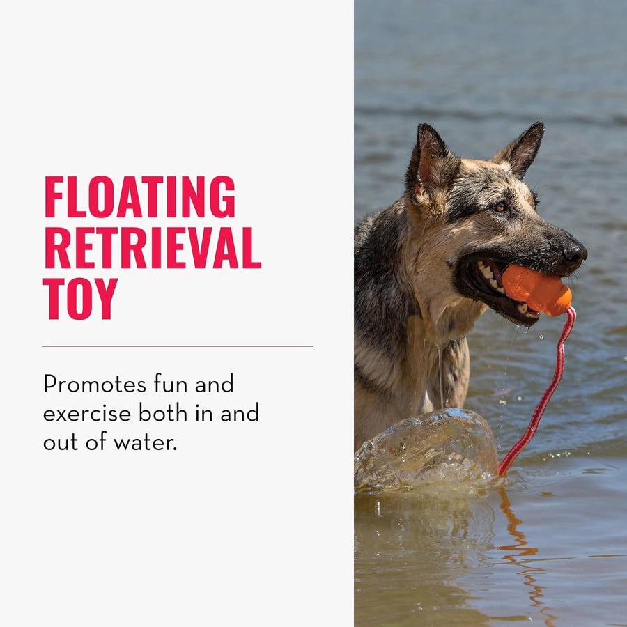 KONG Aqua Durable Natural Rubber Floating Retrieval Toy for Dogs