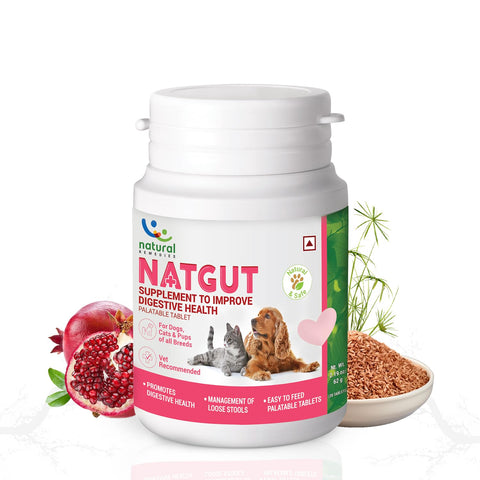 Naturals Remedies Natgut Tablets for Dogs & Cats