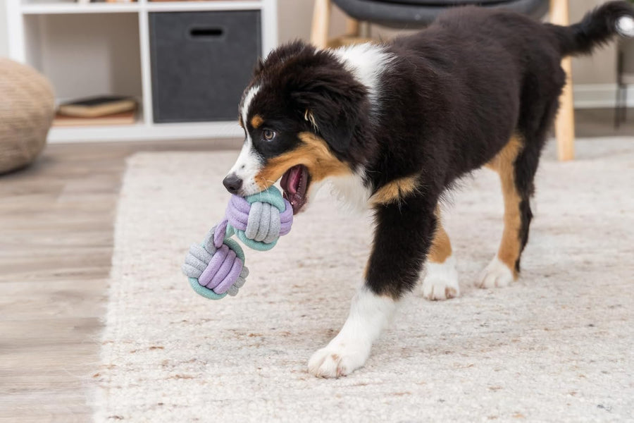 Trixie Junior Rope Dumbbell Toy for Dogs