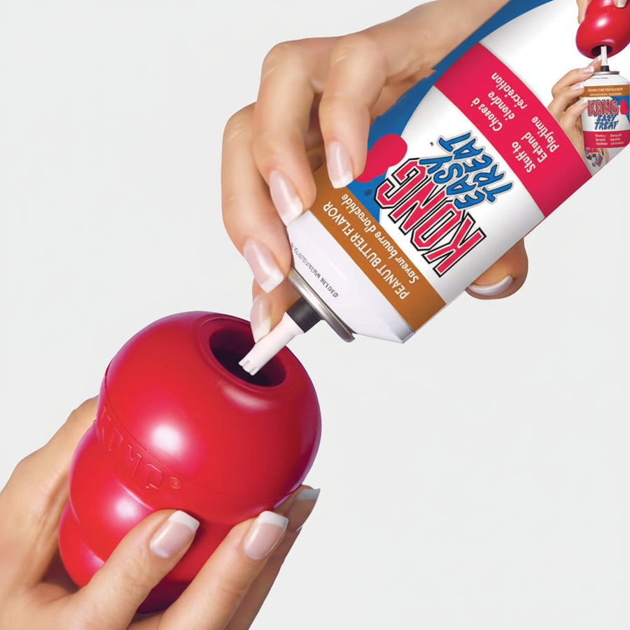 Kong Classic Dog Toy