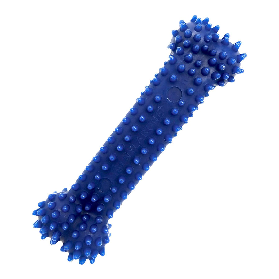 Nylabone Dental Chew Bone