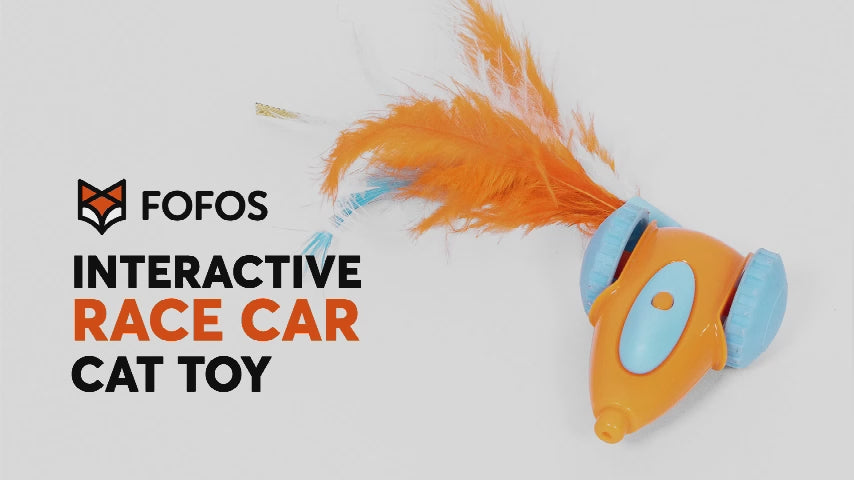 Fofos Interactive Race Car Toy For Cat
