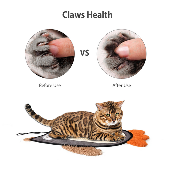 GiGwi Cat Scratcher with Catnip Alligator Toy for Cats