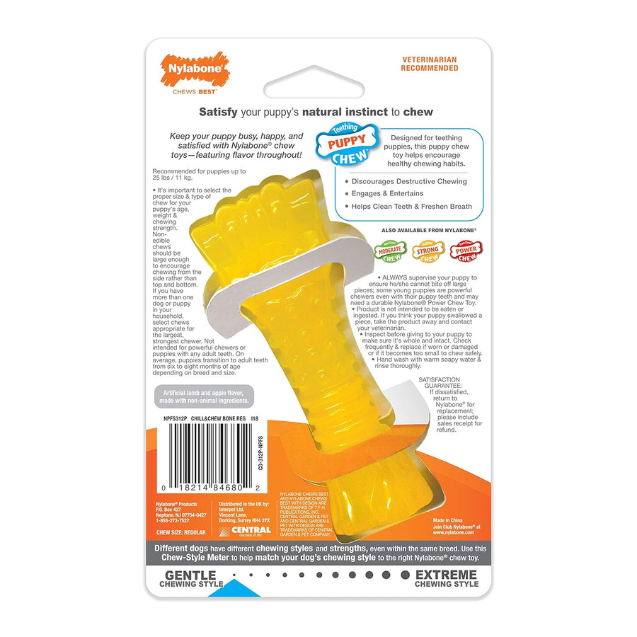 Nylabone Puppy Chew Freezer Bone for Dogs