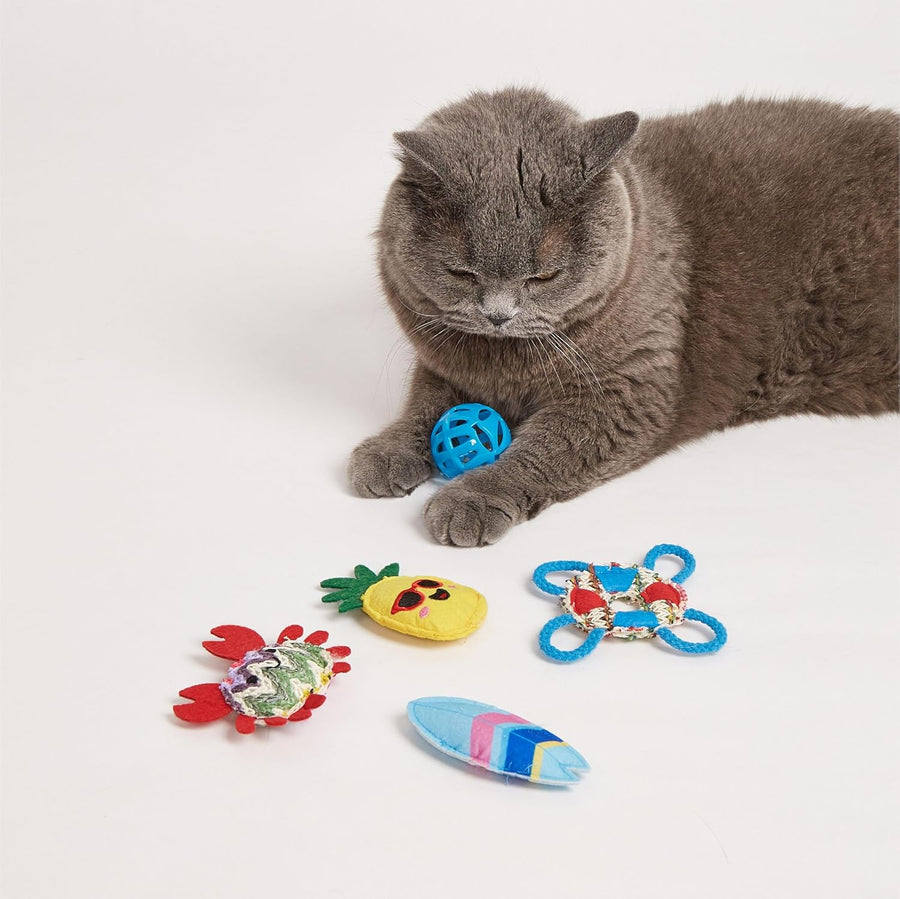 Fofos Sealife 6 Pack Catnip Cat Toy