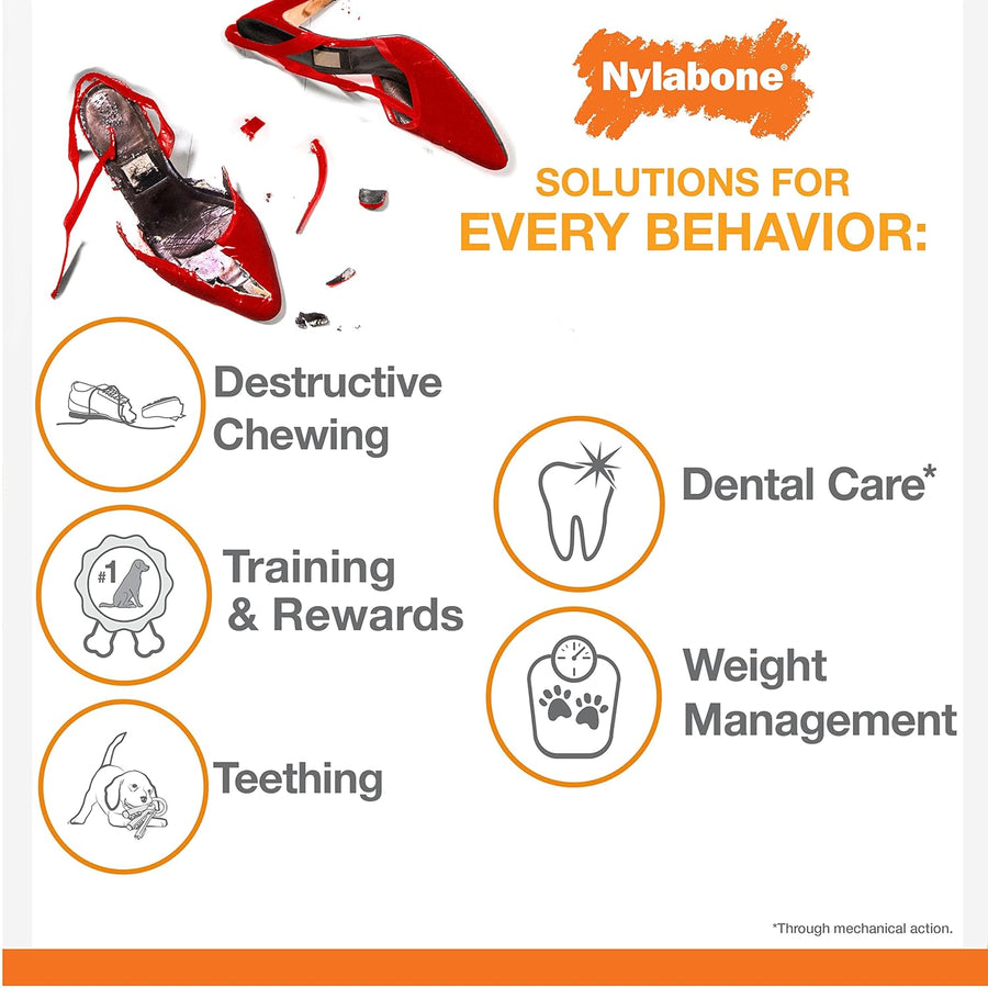Nylabone Silver Collection Strong Chew Bone