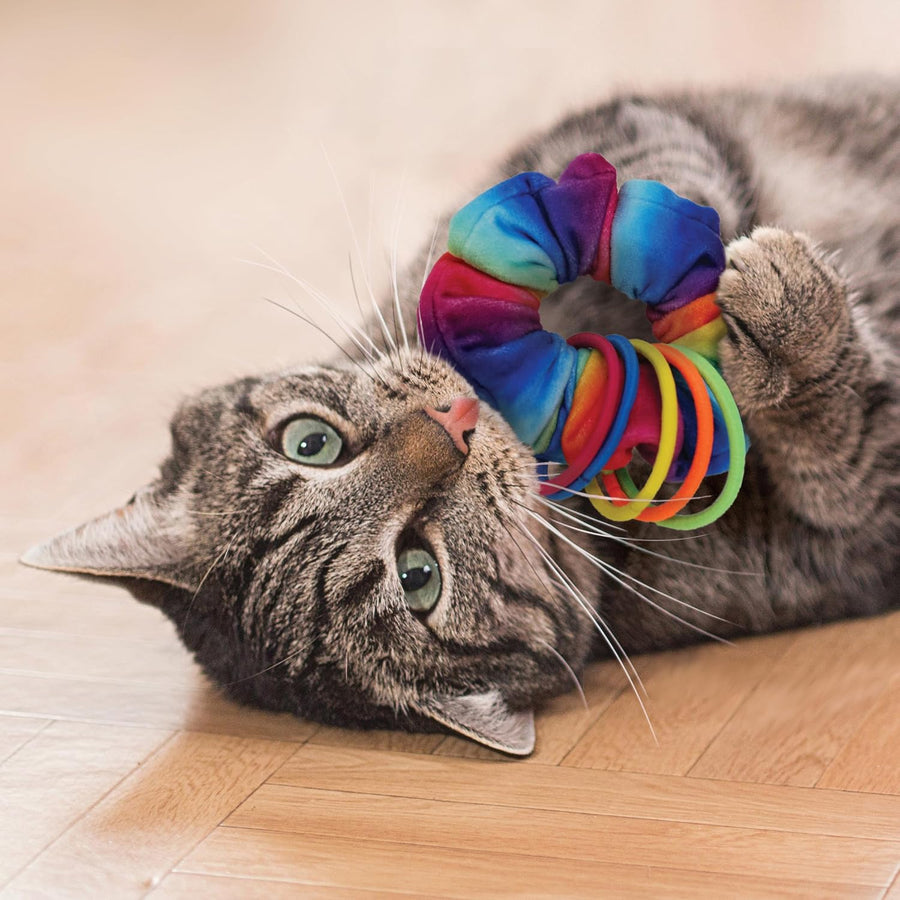 KONG Active Scrunchie Interactive Plush Rainbow Toy