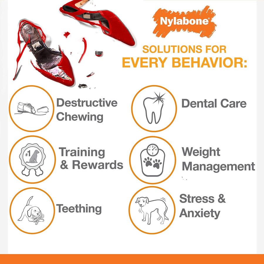 Nylabone Power Chew Dental Arch Bone