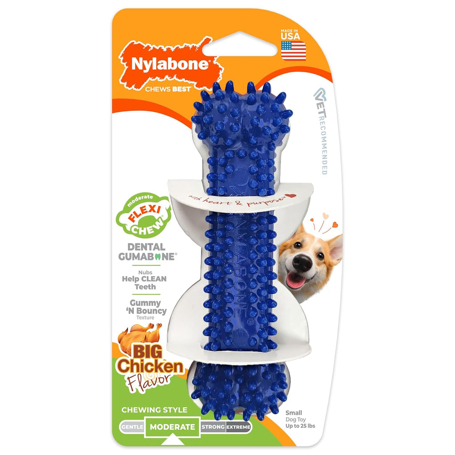Nylabone Dental Chew Bone