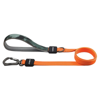 Harness & leash