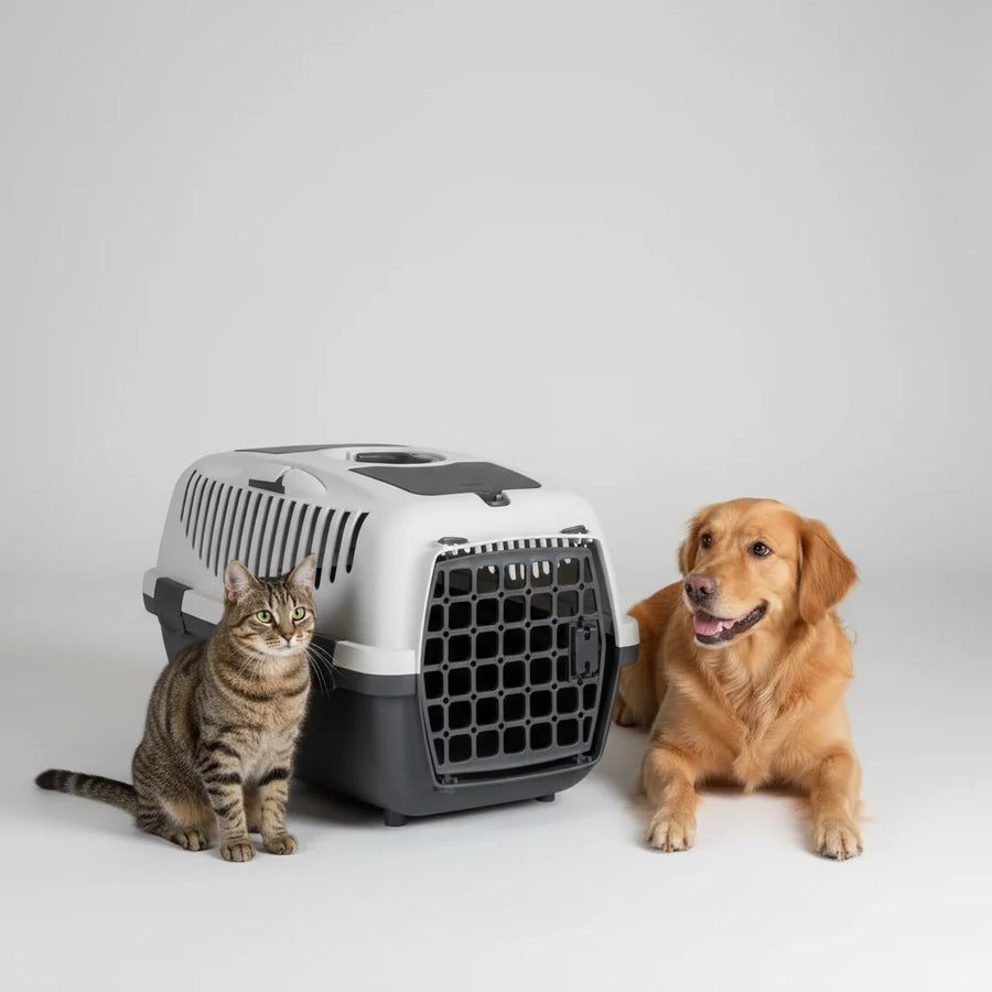 Trixie Capri 1 Pet Carrier for Cats, Dogs, Rabbits and Other Small Animals