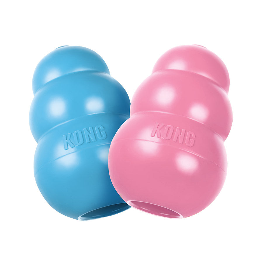Kong Puppy Treat Toy