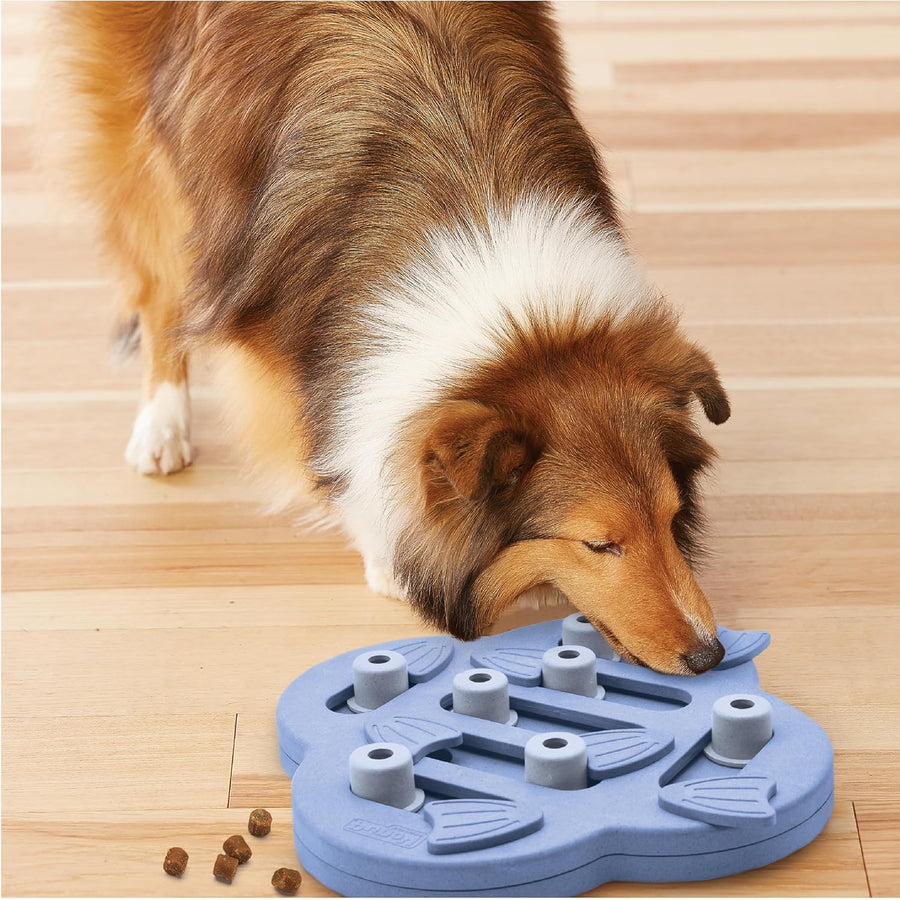 Outward Hound Dog Hide N Slide Interactive Treat Purple