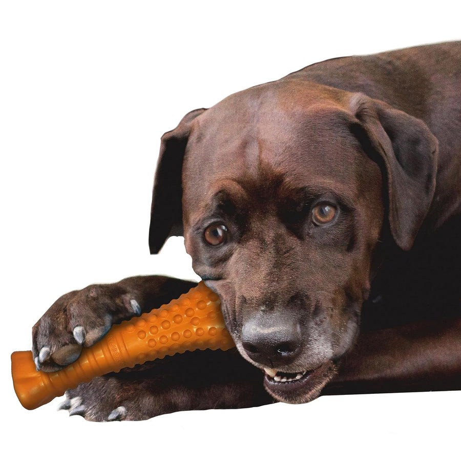 Nylabone Silver Collection Strong Chew Bone