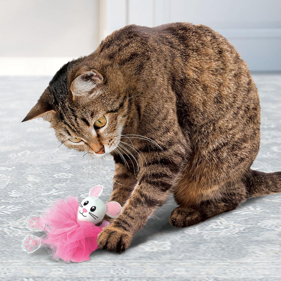 KONG Flingaroo Catnip Toy